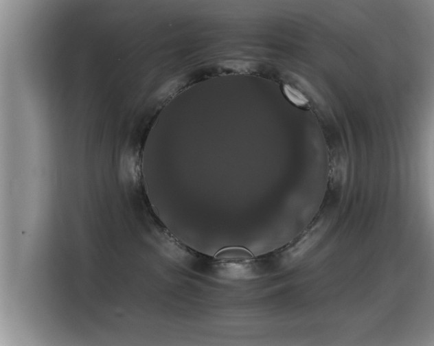 X0000115350285200911101142
