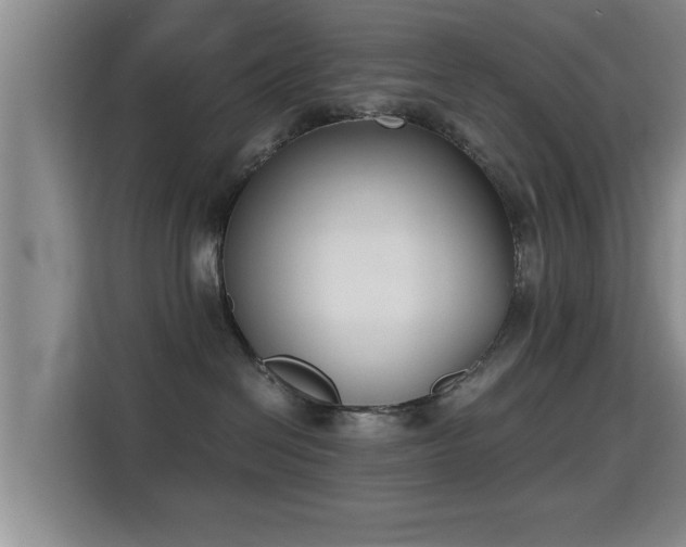 X0000115350286200911101142