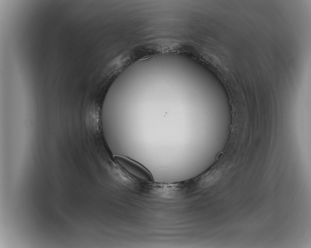 X0000115350288200911101142