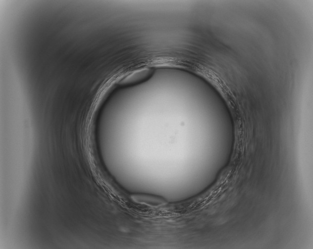 X0000115350289200911101142