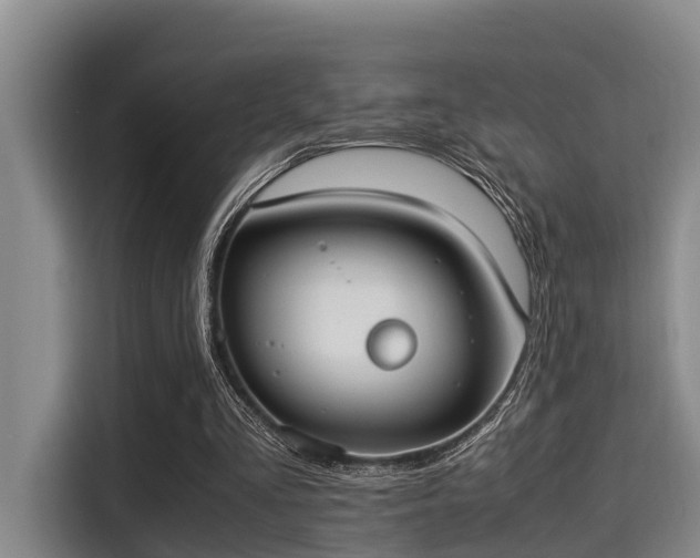 X0000115350293200911101142
