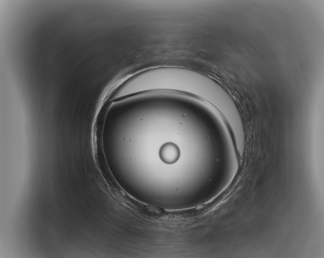 X0000115350294200911101142
