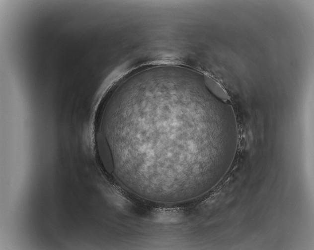 X0000115350296200911101141