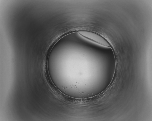 X0000115350297200911101141