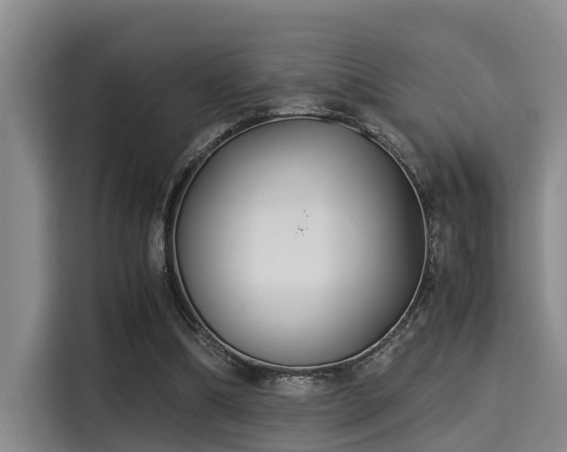 X0000115350298200911101141