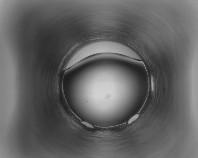 X0000115350300200911101141