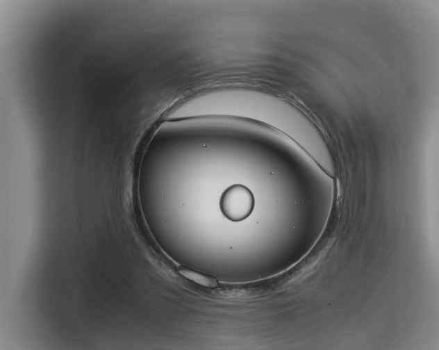 X0000115350301200911101141