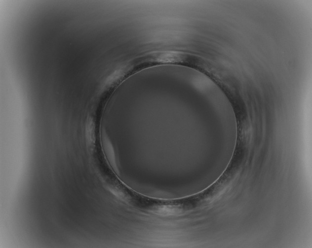X0000115350303200911101141