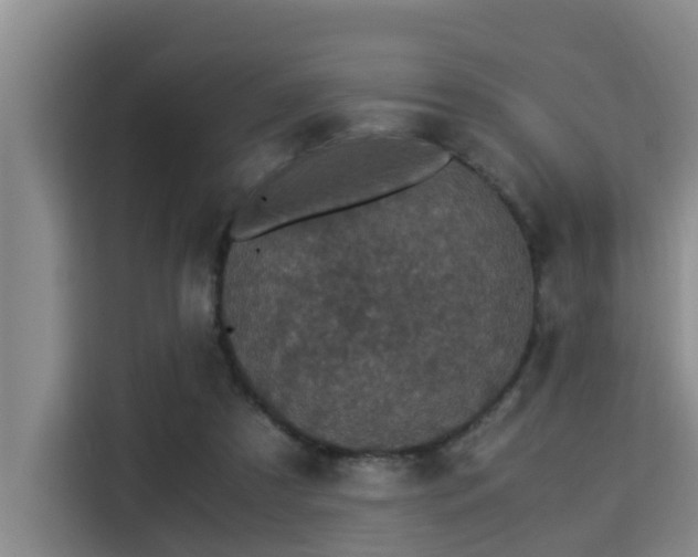 X0000115350305200911101141