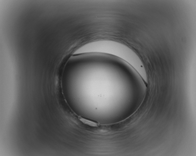 X0000115350308200911101141