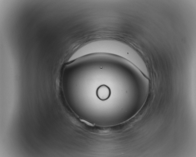 X0000115350309200911101141