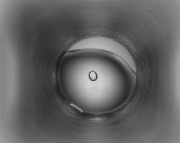 X0000115350312200911101141