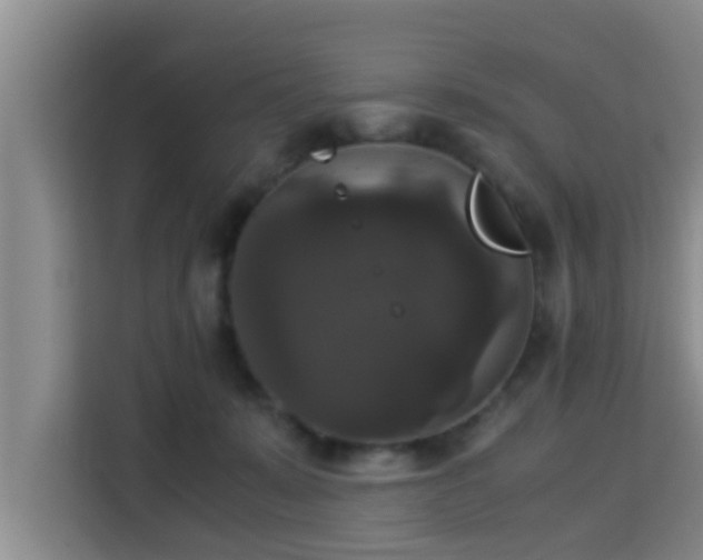 X0000115350319200911101141