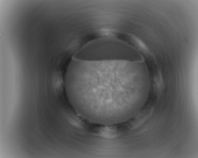 X0000115350320200911101141