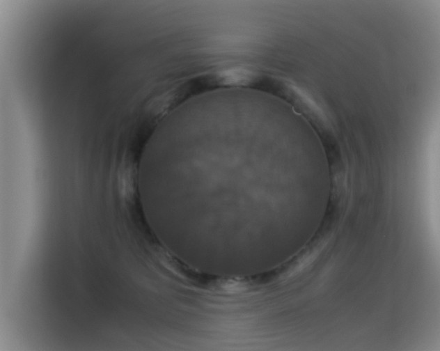X0000115350325200911101141