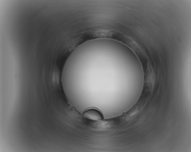 X0000115350326200911101141