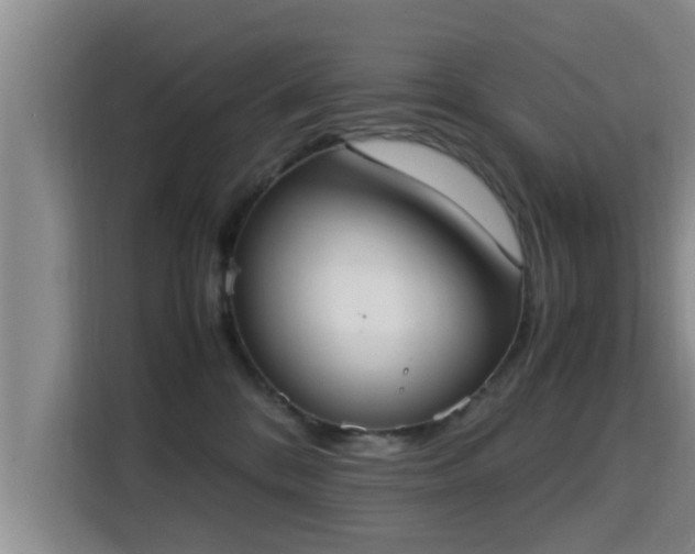 X0000115350328200911101141