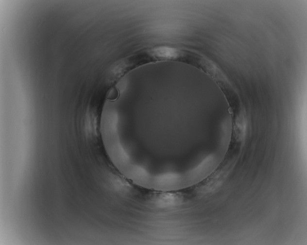 X0000115350330200911101141