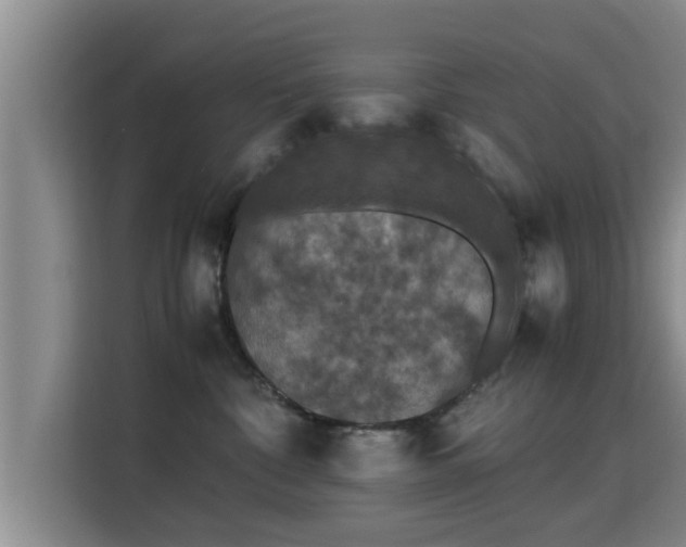 X0000115350332200911101141