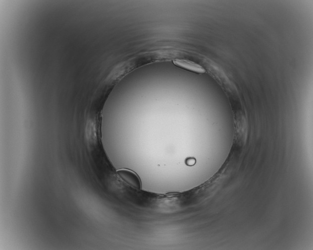 X0000115350333200911101141