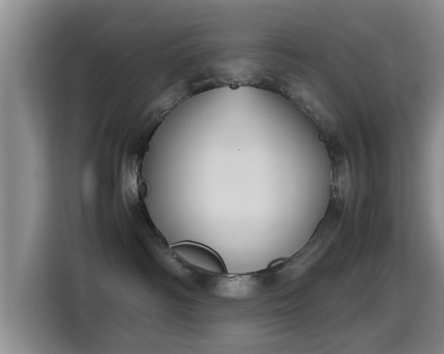X0000115350334200911101141