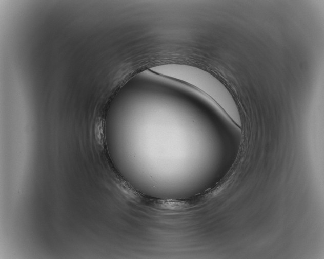 X0000115350336200911101141