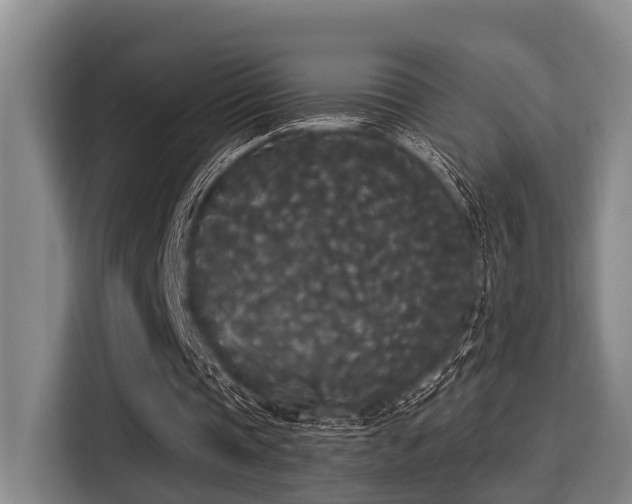 X0000115350337200911101140