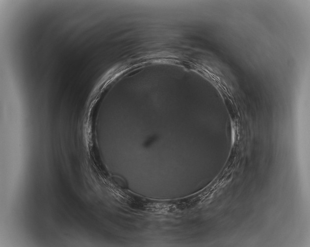X0000115350339200911101140