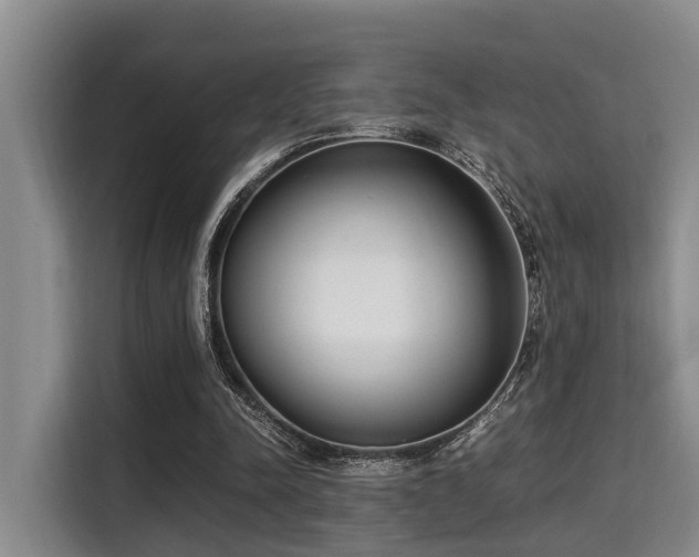 X0000115350342200911101140