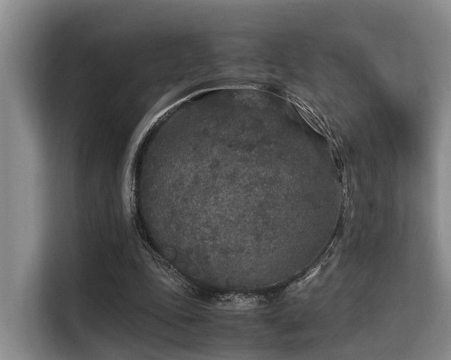 X0000115350343200911101140