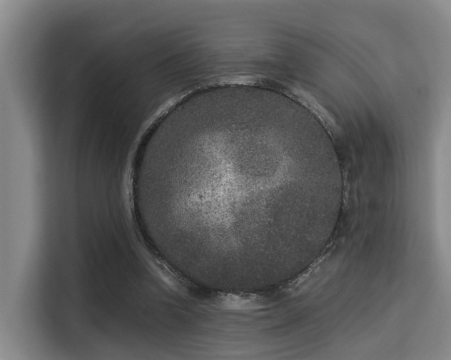 X0000115350346200911101140