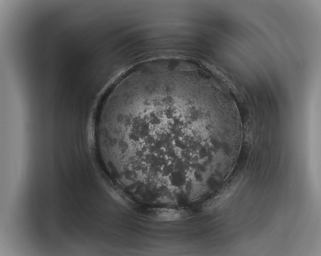 X0000115350347200911101140