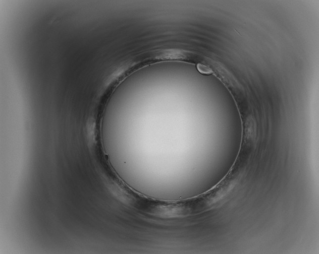 X0000115350351200911101141