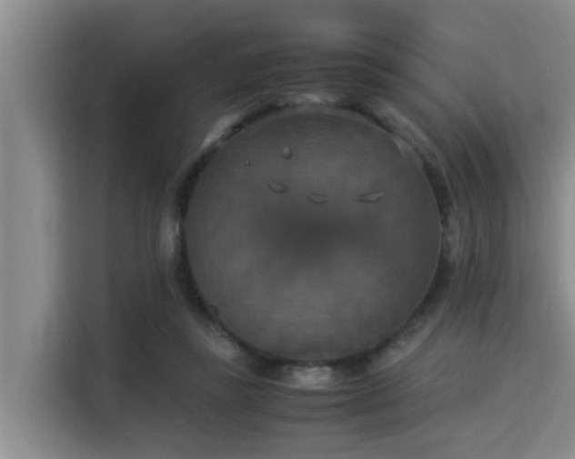 X0000115350355200911101141