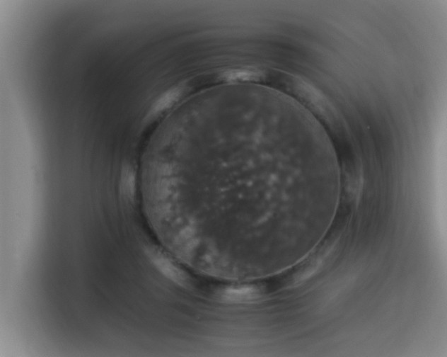 X0000115350357200911101141