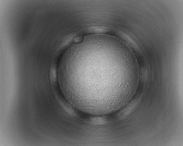 X0000115350358200911101141