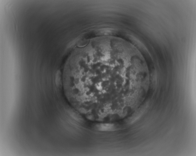 X0000115350361200911101141