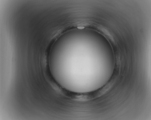 X0000115350362200911101141