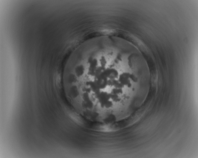 X0000115350365200911101141