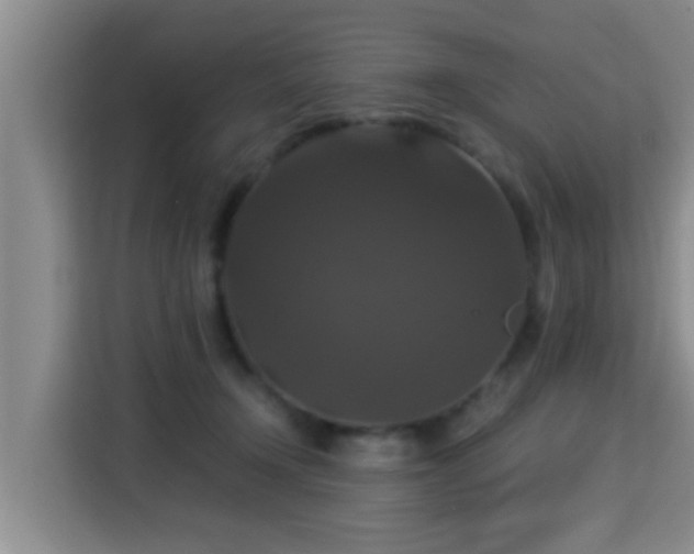 X0000115350366200911101141