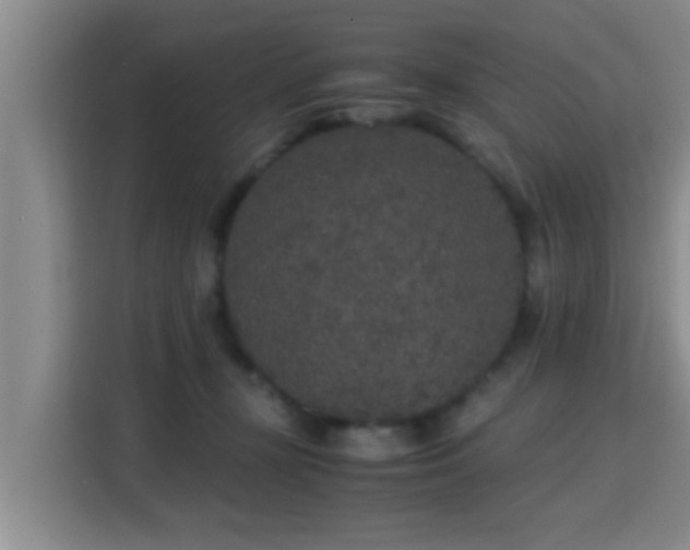 X0000115350367200911101141