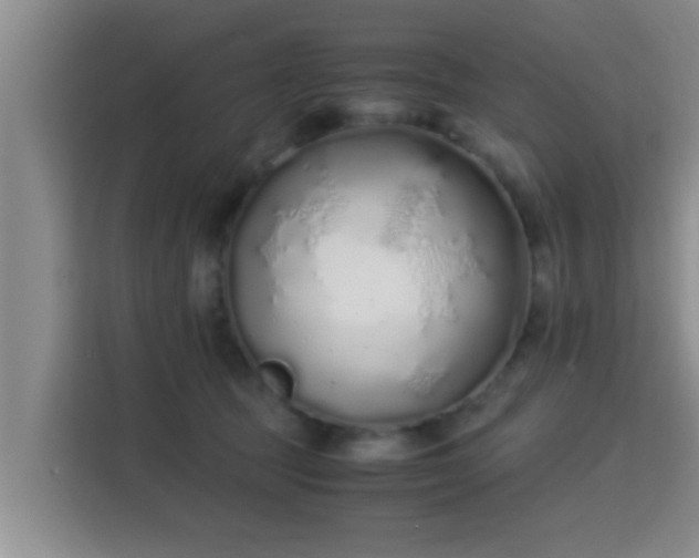 X0000115350369200911101141