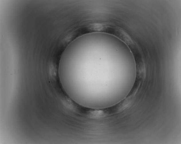 X0000115350374200911101141