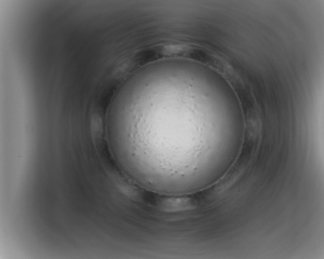 X0000115350375200911101141