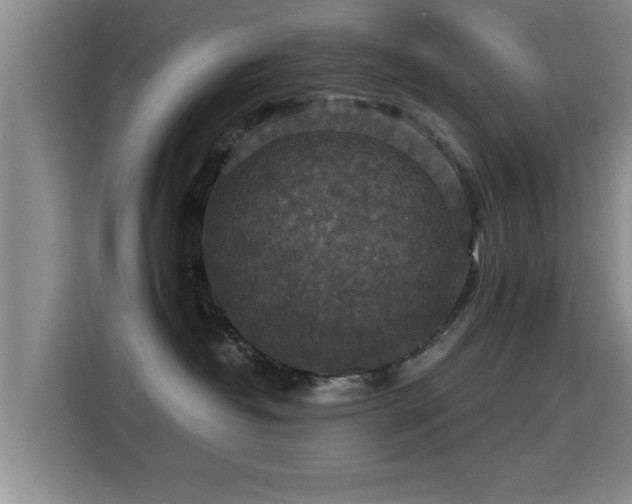 X0000115350382200911101141