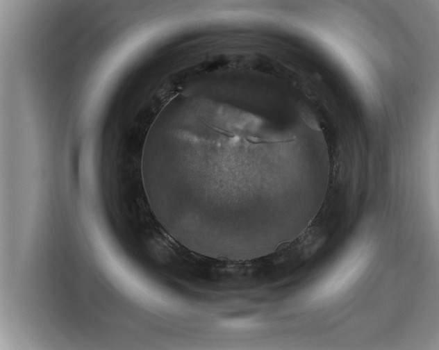 X0000115350383200911101141