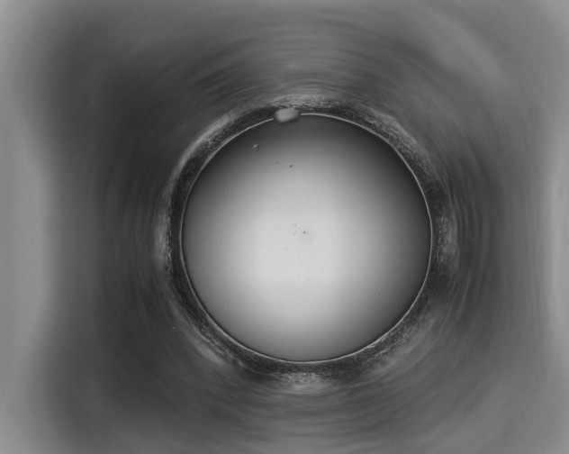 X0000115350392200911101140