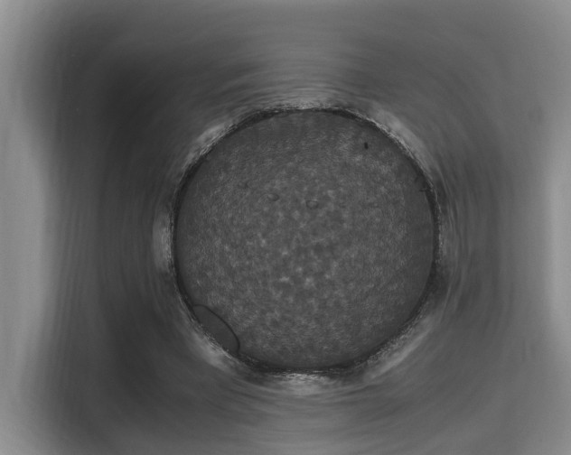 X0000115350393200911101140