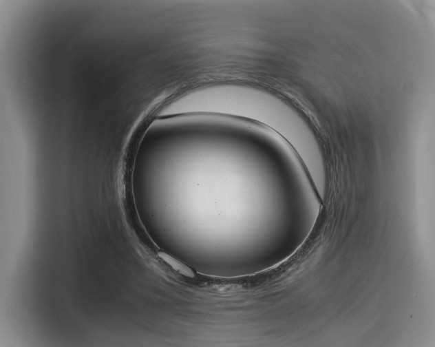 X0000115350395200911101140