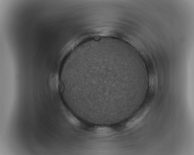 X0000115350397200911101140